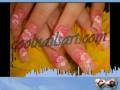 videos de nails-noel-french tips-flower-zebra