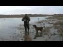 videos de Rye's retrieve part 2 of 2 URCARSUX
