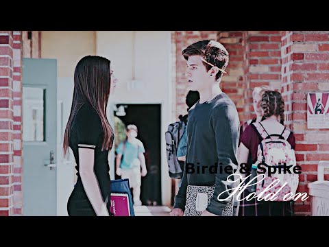 birdie & spike • hold on i still want you