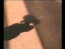 Magan _amp_amp_ Rodriguez - Que levante la mano mi gente.avi Magan _amp_amp_ Rodriguez - Que levante la mano mi gente.avi