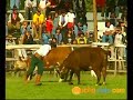 NEUQUEN - MUCHOVIAJE - viajes a Argentina