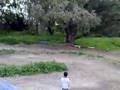 RC Malta  kordin track testing Buggy Xray with siim 21 PGR