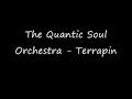 The Quantic Soul Orchestra - Terrapin