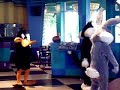 Brunch With Bugs