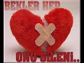 SEREFSIZ SEVGILIM (GUZEL SOZLER) SEREFSIZ SEVGILIM (GUZEL SOZLER)
