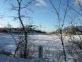 Winter smackdown in Wellfleet