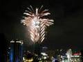 2008 Taipei 101 Fireworks / 2008 台北101 跨年煙火