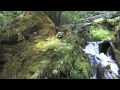 Earthing: 174 Hz Solfeggio Frequency, Schumann Resonance, Theta Binaural Beats