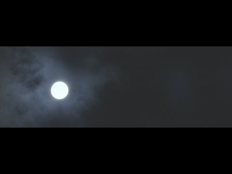 Plastic - Long Way Home (official video)