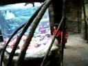 Elijah's birthday at the Denver Aquarium