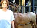 Misbehaving Filly