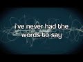 Niall Horan – One Direction More Than This Acoustic Lyrics