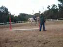 Vénus - Eléonore ; Shaitan - Louise:poney club de pampelonne