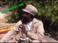 how many joints you smoke per day?25 HA HA HA HA