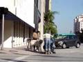A Stroll Thru Coral Gables,  Miami  Florida