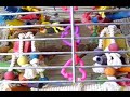 Our Parrots 2