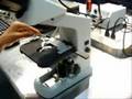 Mantenimiento del Microscopio Optico