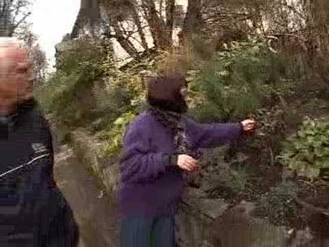 PRIVATE GARDEN OF LUCY HARDIMAN