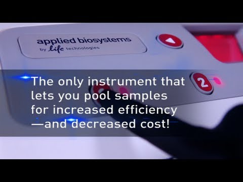 how to isolate salmonella