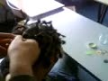 tresses push par christelle tresses push par christelle
