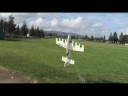 Parkmaster 3D HOT FLYING