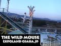 THE WILD MOUSE(????????