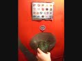 Coca-Cola Freestyle - Bassin, Hounjet, Tang, W.mov