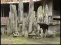 Bena Traditional Village, Flores, Indonesia