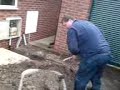 hicky on the shovel