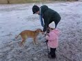 Video0093.mp4
