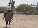 Carmen dressage lesson 7 Carmen dressage lesson 7