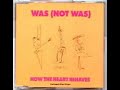 Was (Not Was) - How The Heart Behaves
