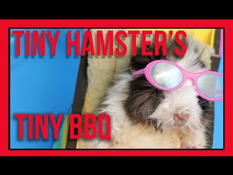 Play YouTube video
