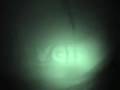 Partyreview Filmup