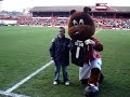 toby-tyke-barnsley-fc-the-tykes-up-the-reds.html