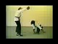 Kunfu monkey