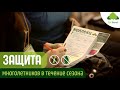 Защита растений от болезней и вредителей. Болезни многолетников в саду и методы борьбы с ними