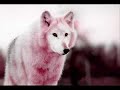 Waneta- tommorow