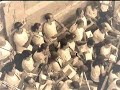 La Societat Musical d'Algemesí, tocant a la plaça de bous el dia 30 de Setembre de 2007 el nou pasdoble del compositor Algemesinenc Toni Giménez, BOUS D'ALGEMESÍ.