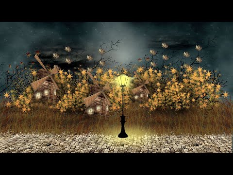 video-show