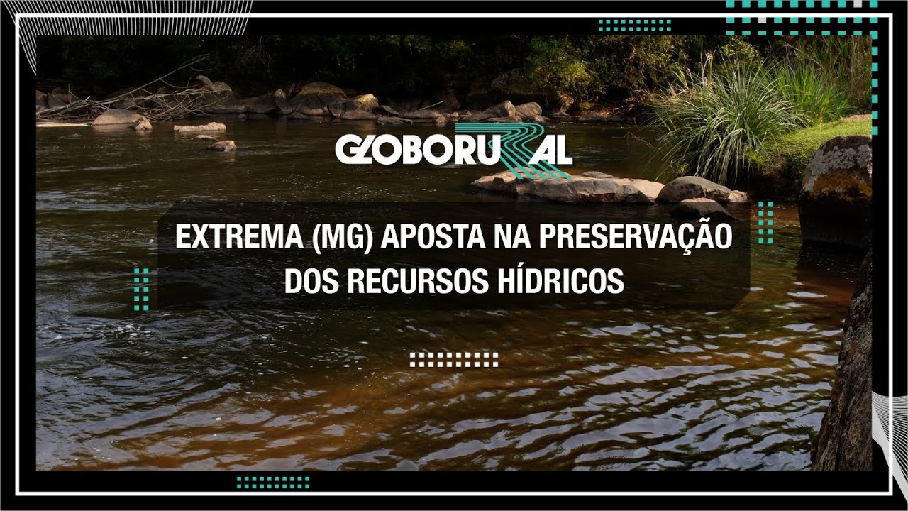 Projeto 'Conservador das Águas' já plantou mais de 3 milhões de árvores | Globo Rural
