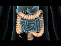 Endoscop-a-del-tract