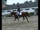 Championat aux Foins Championat aux Foins
