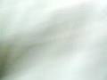 videos de fgsd