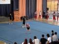 victor fenix 3