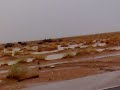 حدي نظر . خالد عبدالرحمن . واجواء رائعه في رنيه