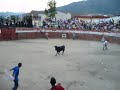 La peor Corrida de toros en la historia de \"Soat�\" \"3\"