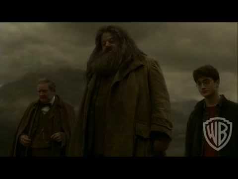 hbp felix felicis