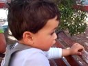 nicolas morgado