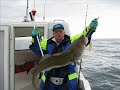 Vistrip IJsland 2008 Vistrip IJsland 2008